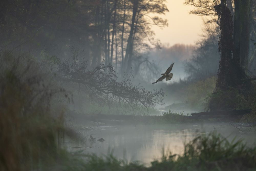 Photograph by Krzysztof Korc