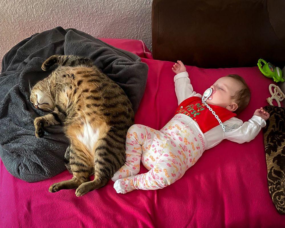 Photograph by Гребенников Сергей