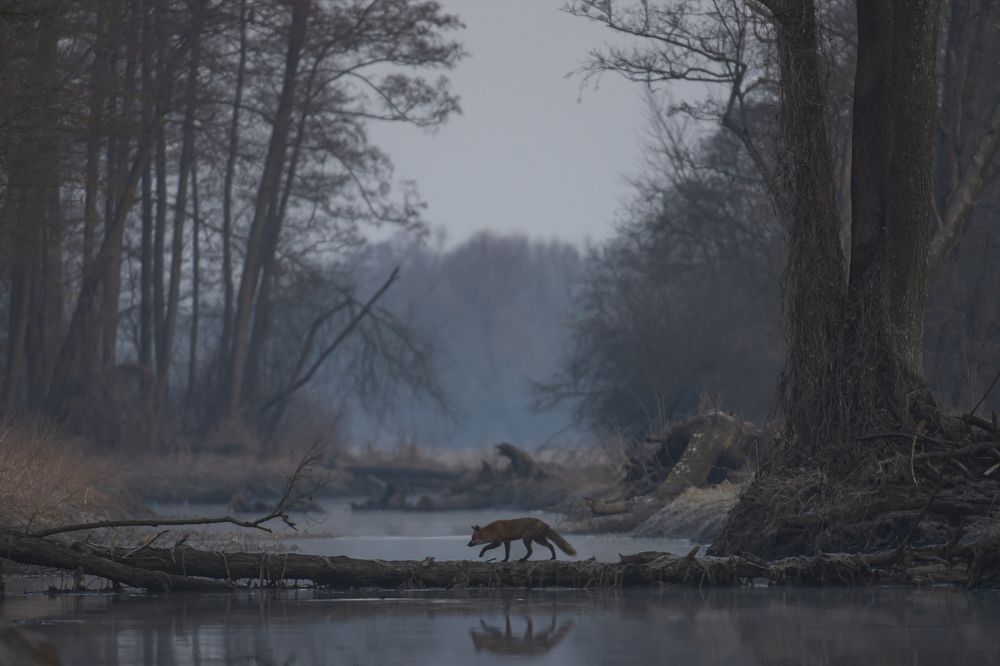 Photograph by Krzysztof Korc