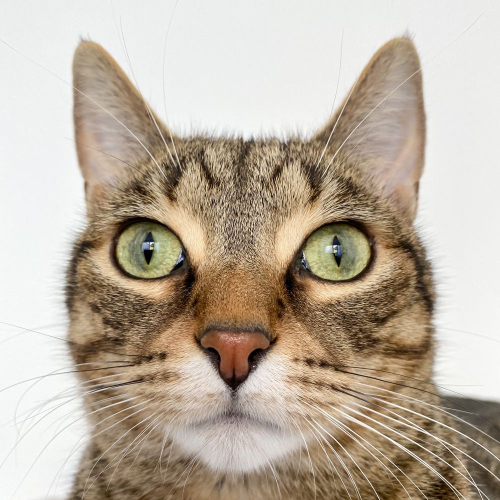 Photograph by Гребенников Сергей