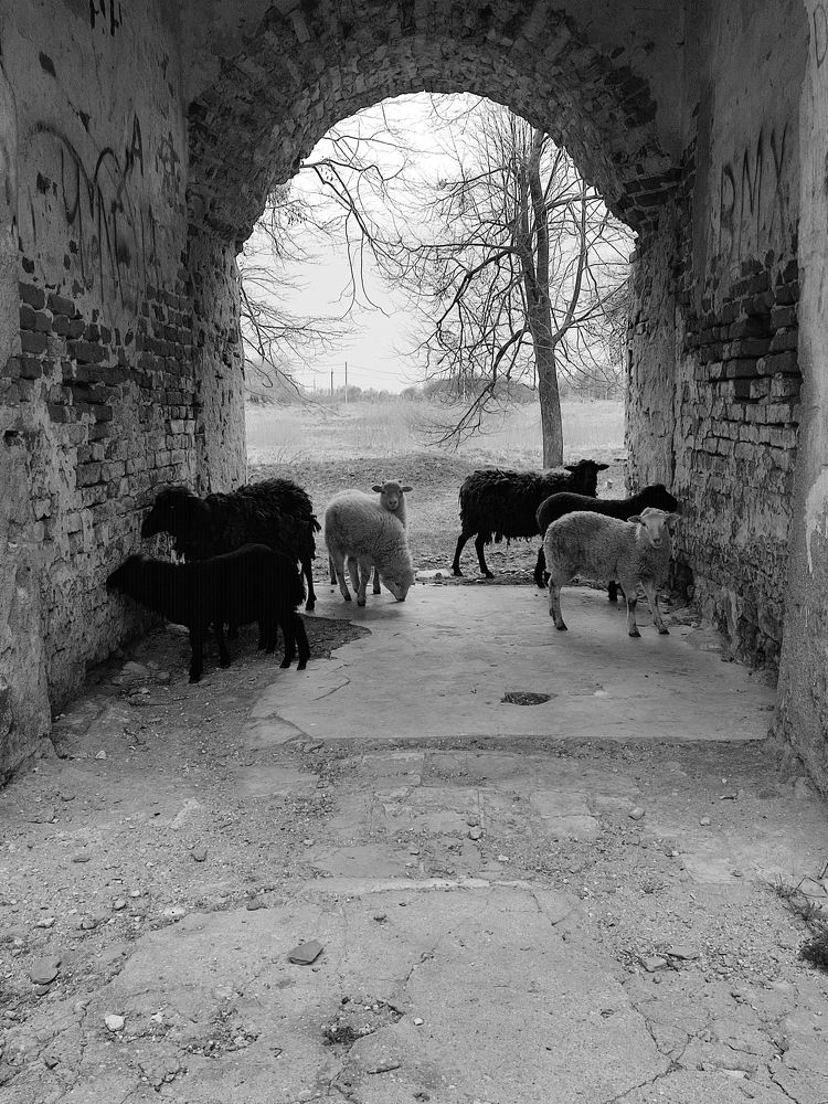 Photograph by Марина Серых