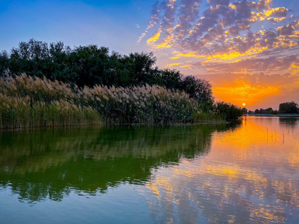 Фотография автора Nishakanth Y