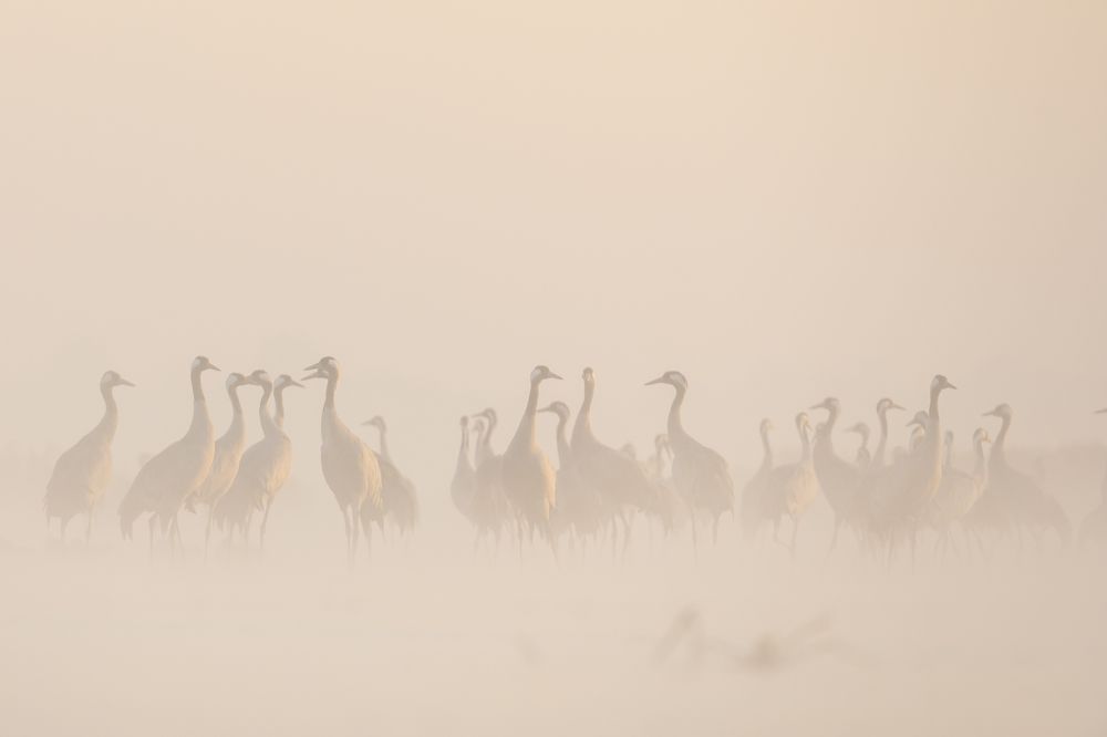 Photograph by Krzysztof Korc