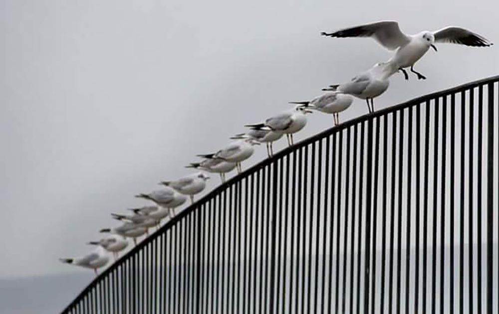 Photograph by Yasemin Atasoy