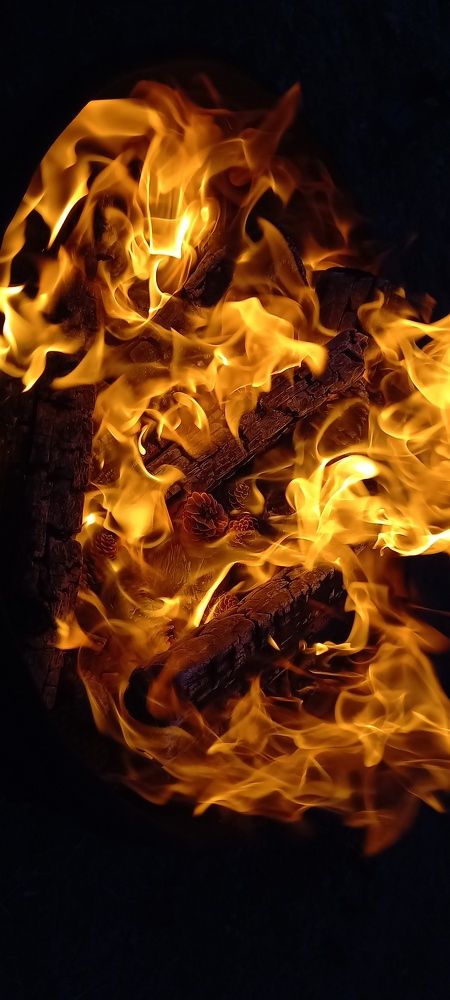 Photograph by Viktoria Vavilkina