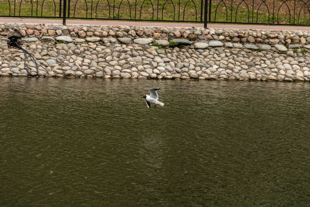 Photograph by Алексей Чеботарев