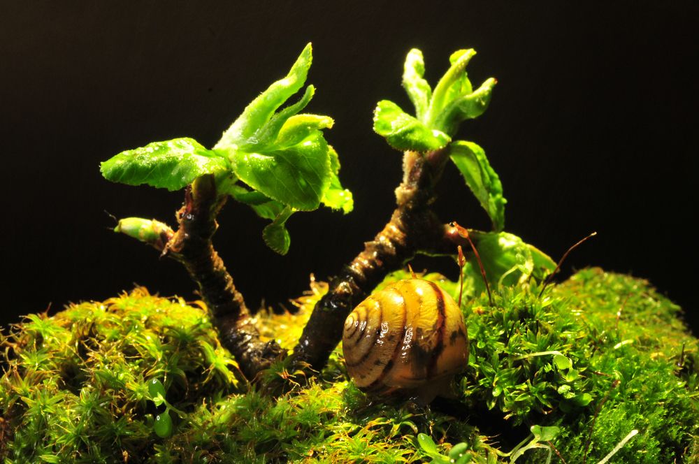 Photograph by Inessa Botasheva