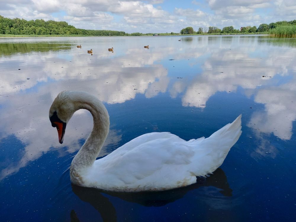 Photograph by Viktoria Vavilkina