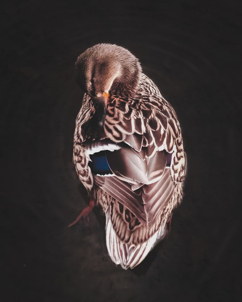 Photograph by Michael Deligan