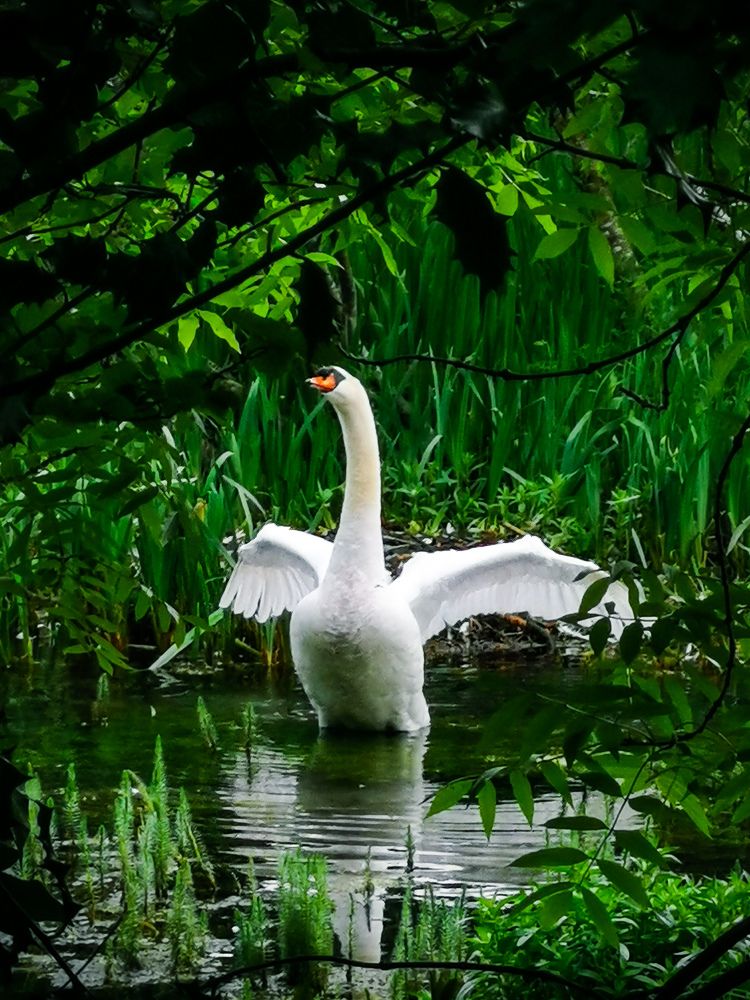 Photograph by Michael Deligan