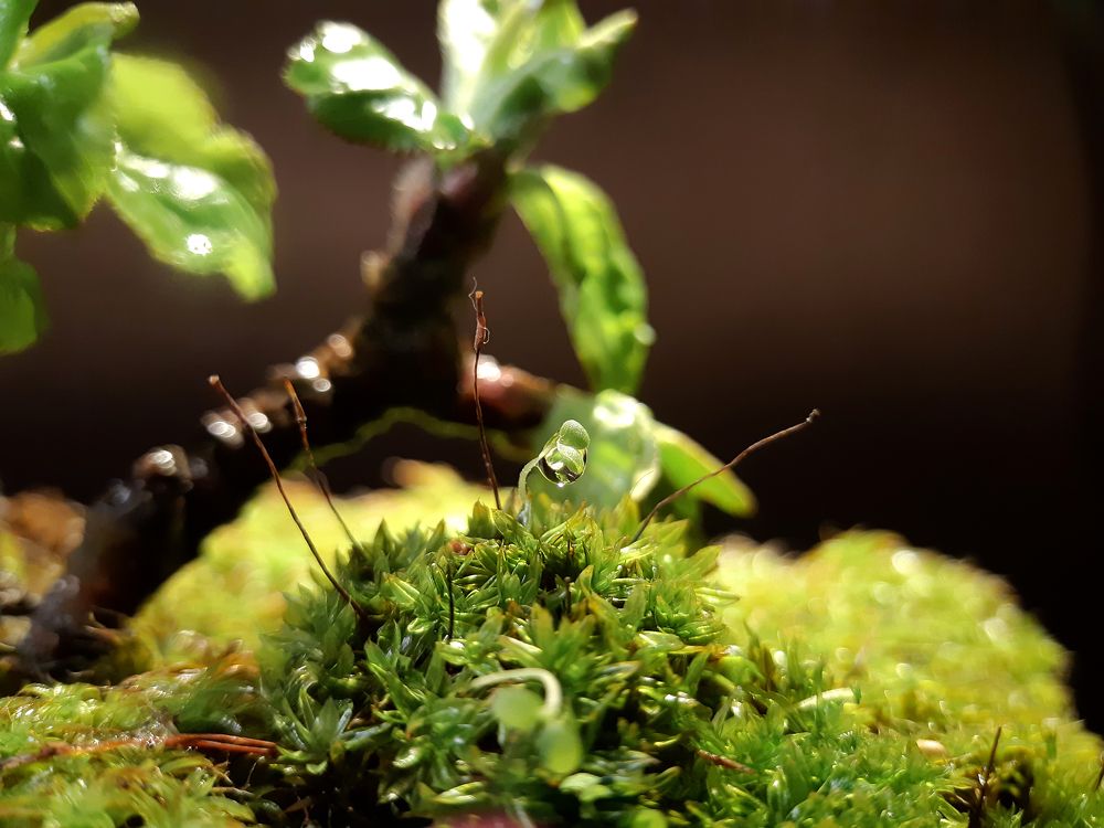 Photograph by Inessa Botasheva