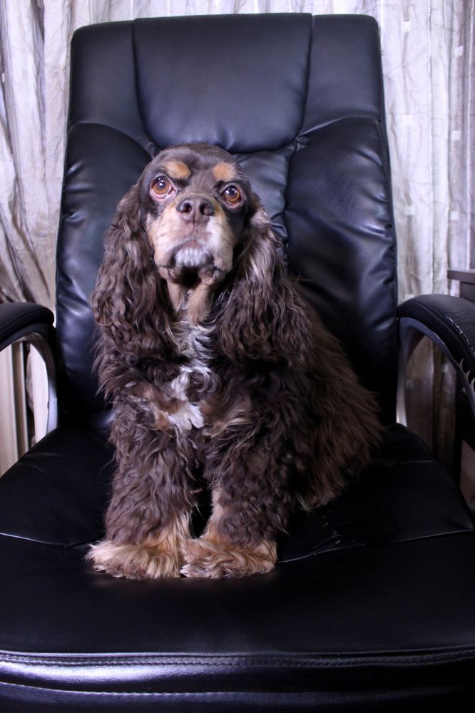 Photograph by Inessa Botasheva