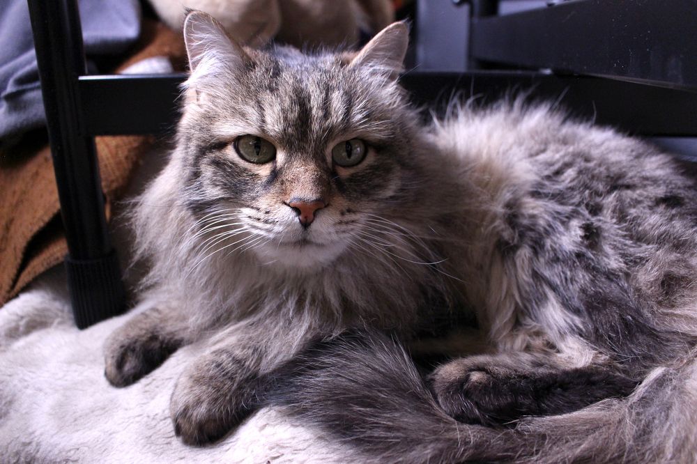 Photograph by Inessa Botasheva