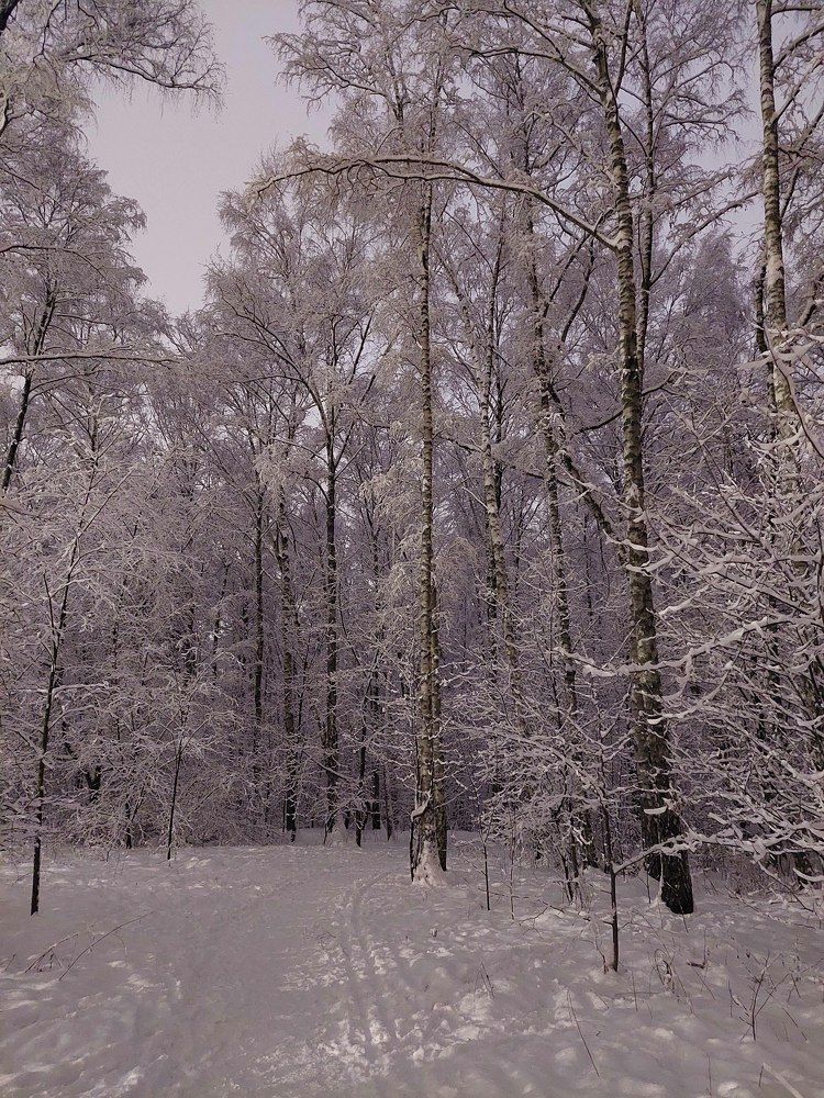 Photograph by Татьяна Шевцова