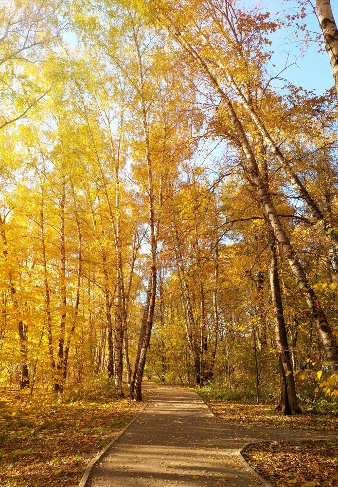 Photograph by Татьяна Шевцова