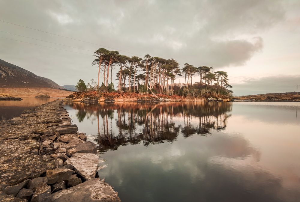 Photograph by Michael Deligan