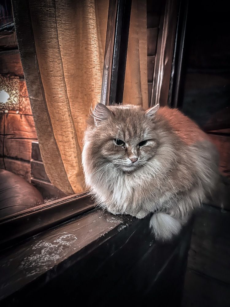 Photograph by Елена Башмакова