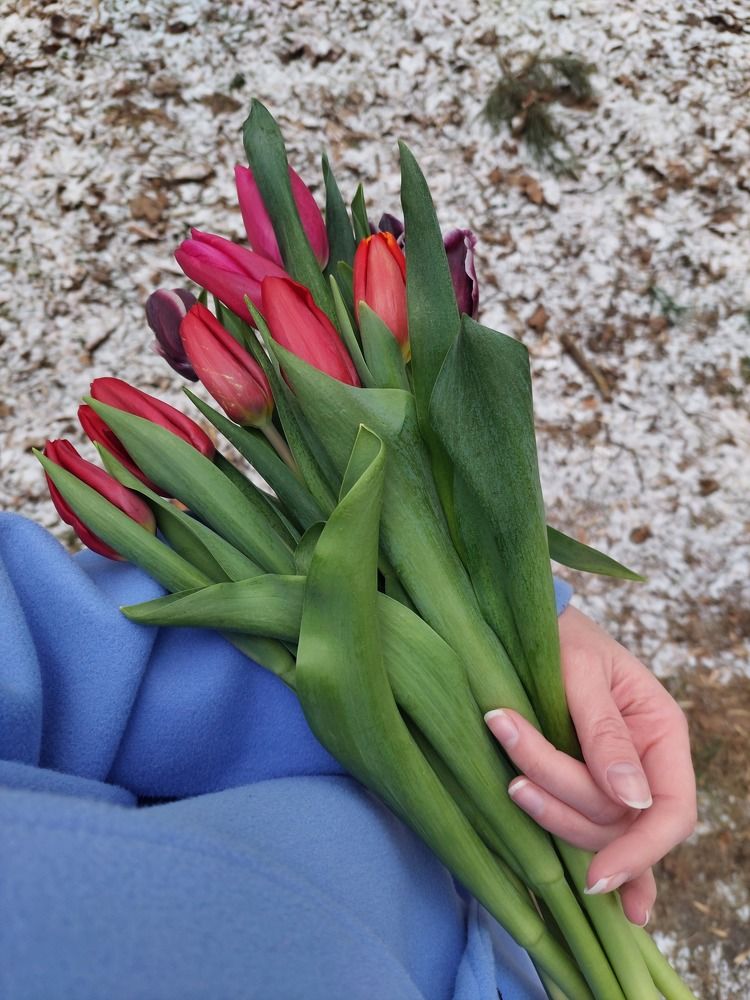 Photograph by Валерия Зайцева