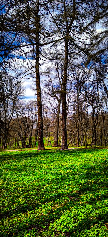 Photograph by Shafieva Irina