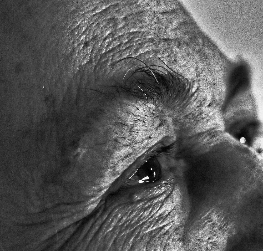 Photograph by Hanan Elmahmoudy