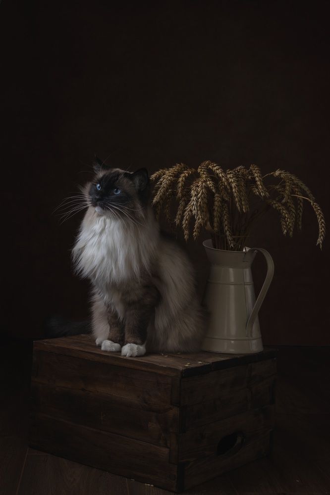 Фотография автора Natalja Bindere