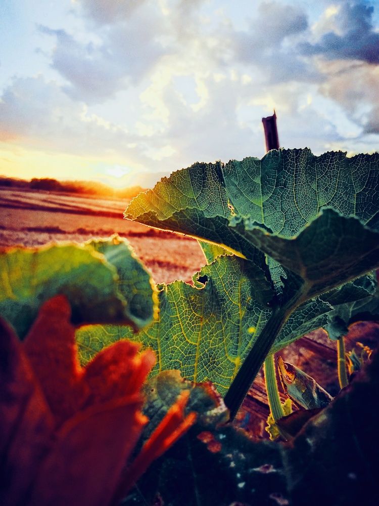 Photograph by Eugene Balneg