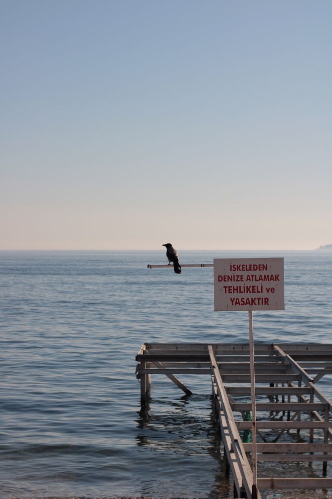 Photograph by Дарья Вега