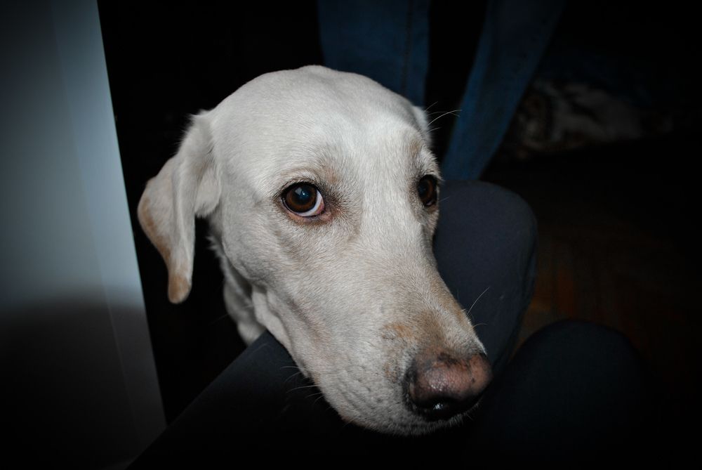 Photograph by Дарья Вега