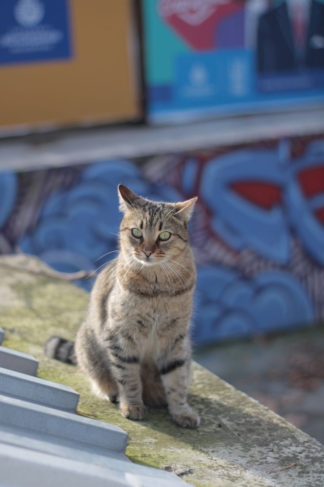 Photograph by Дарья Вега