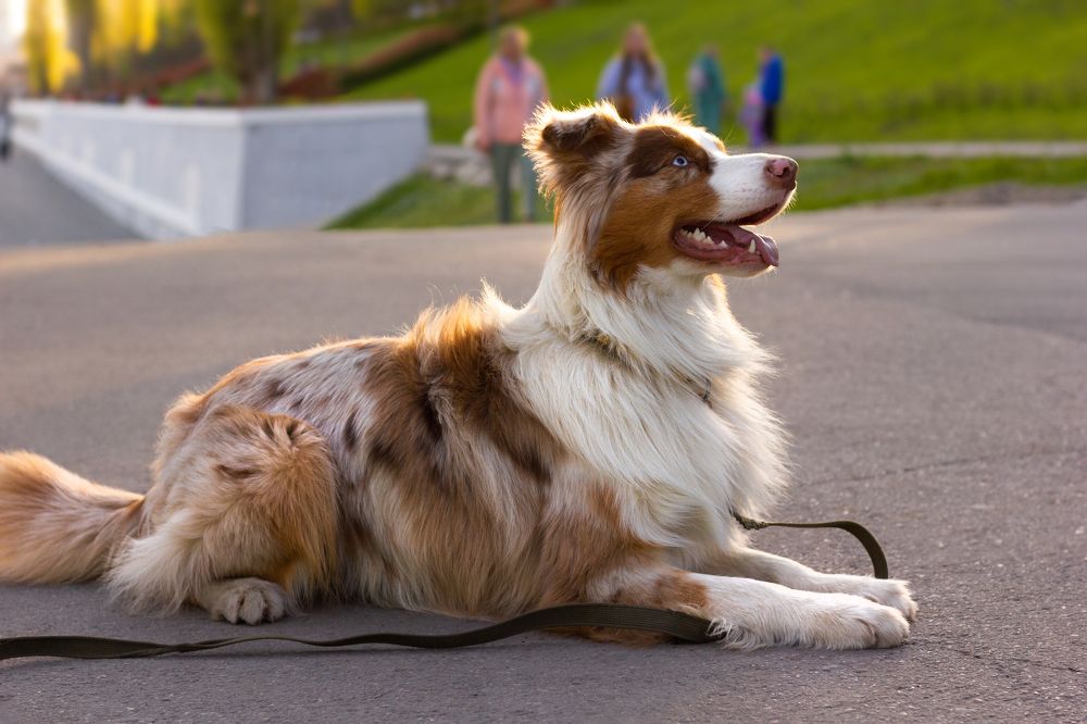 Photograph by Диана Докучаева