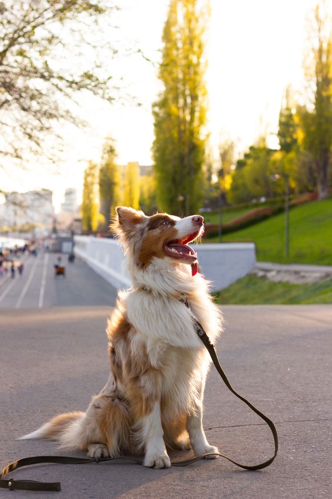 Photograph by Диана Докучаева