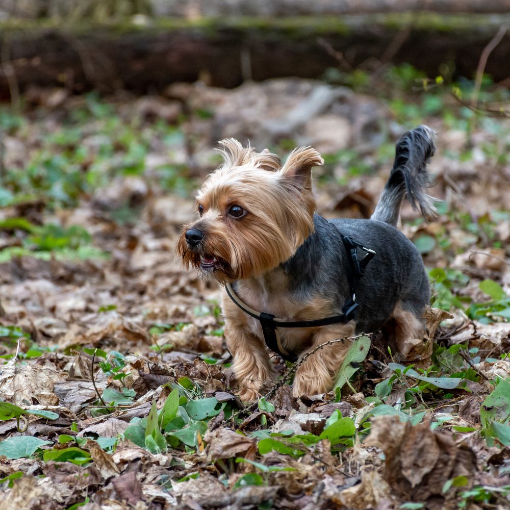 Photograph by Валерий Петухов