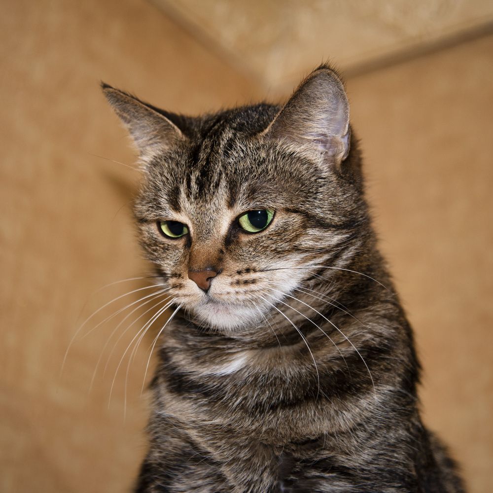 Photograph by Валерий Петухов