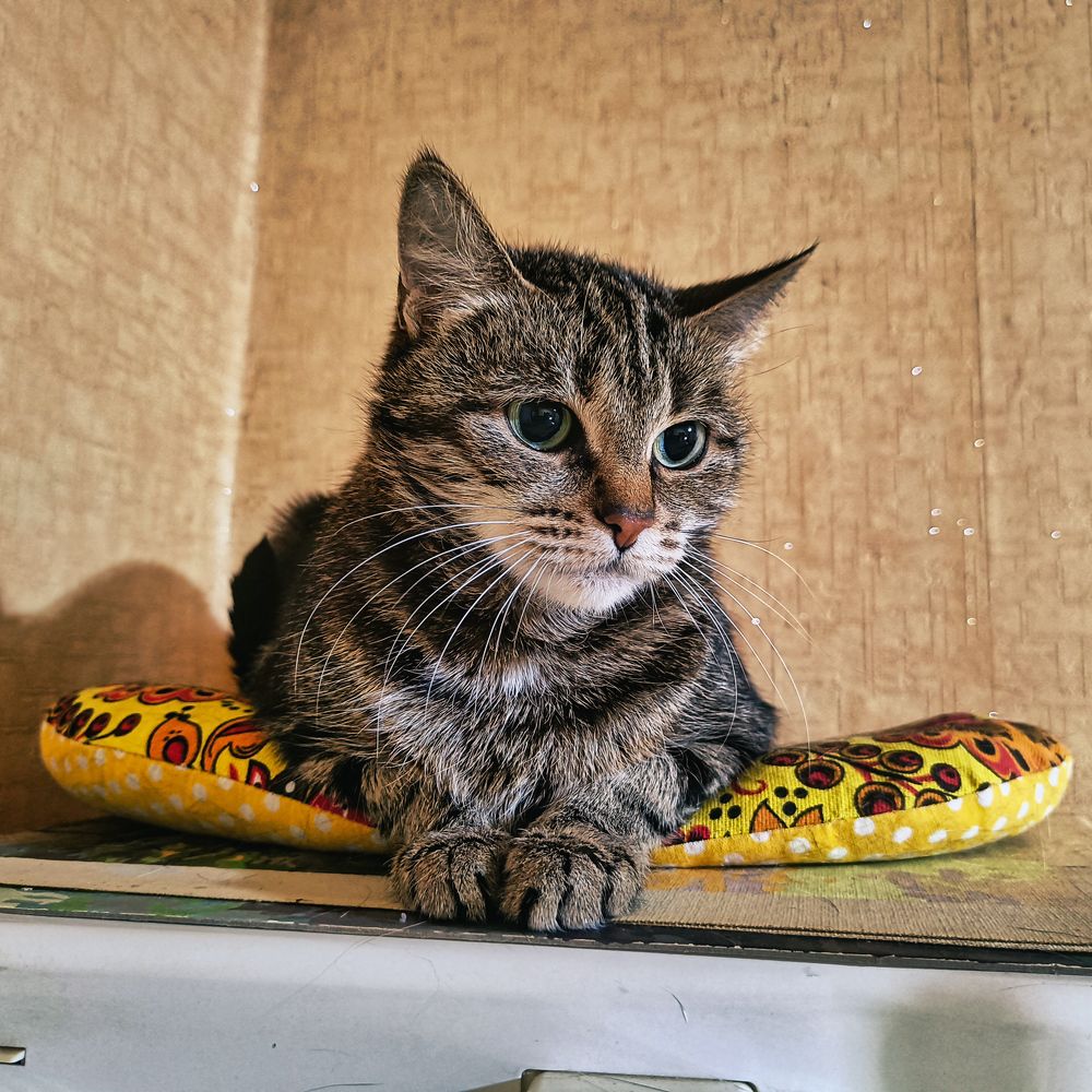 Photograph by Валерий Петухов