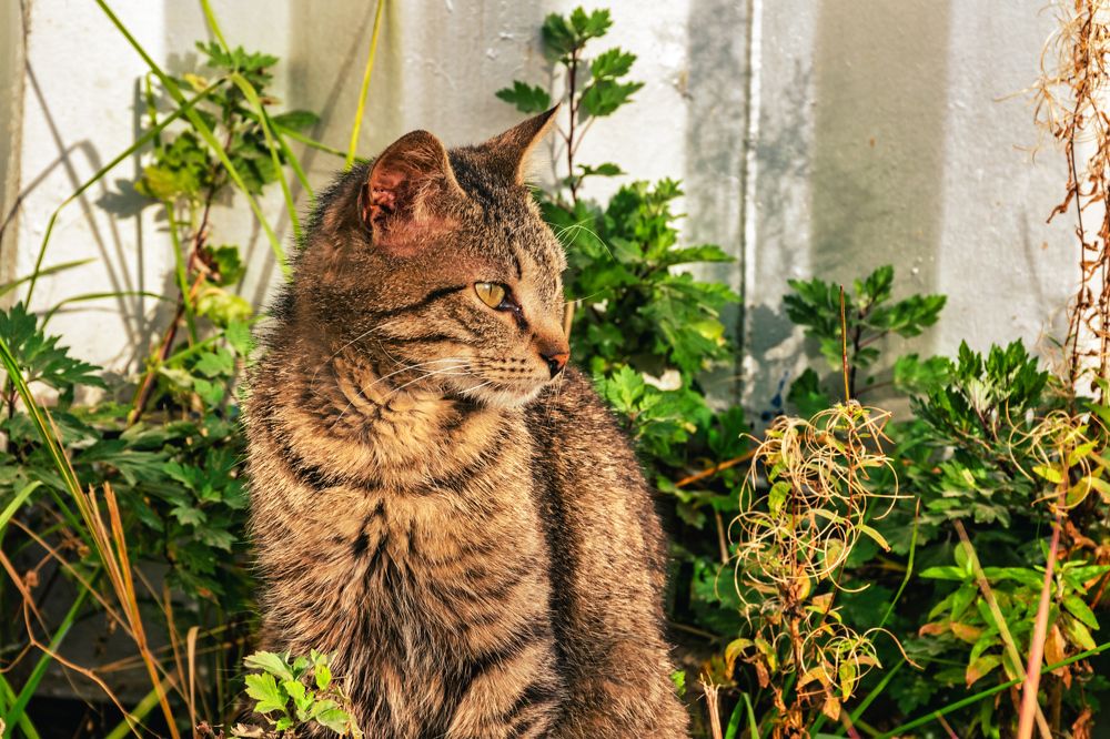 Photograph by Валерий Петухов