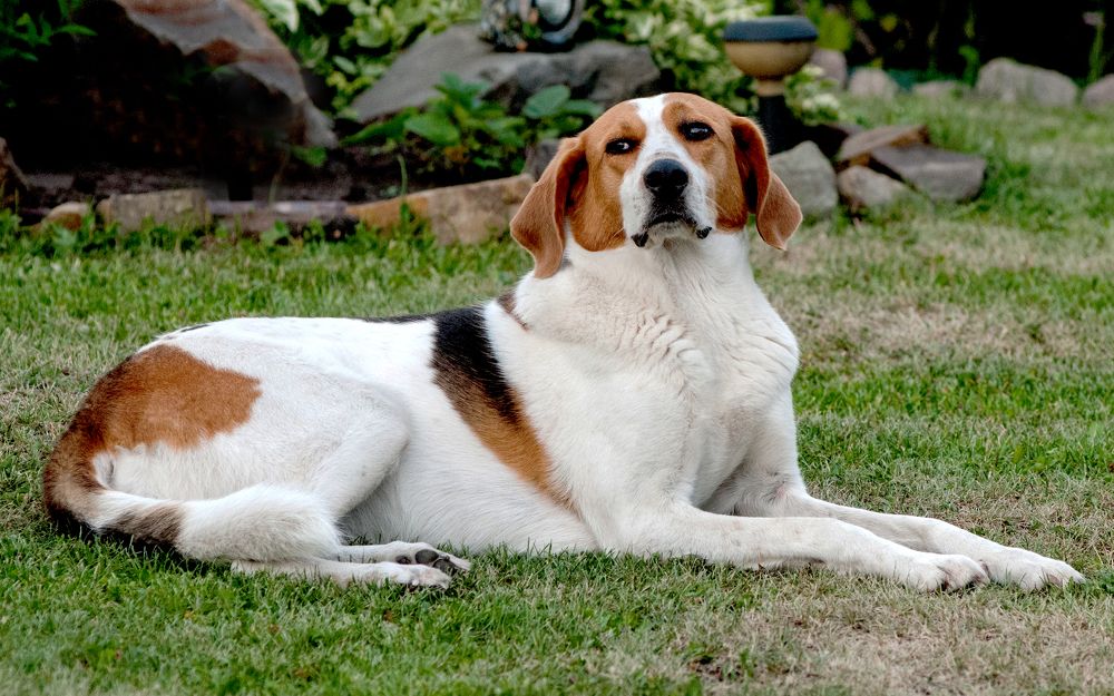 Photograph by Сергей Балухта