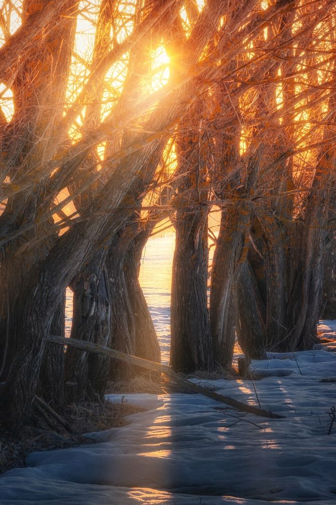 Photograph by Света Богоявленская