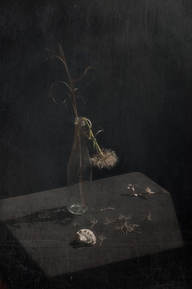 Photograph by Анастасия Чепурнова