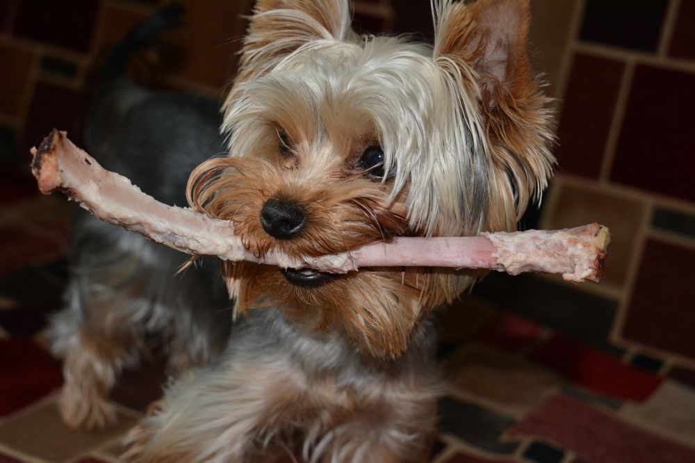 Photograph by вячеслав милов