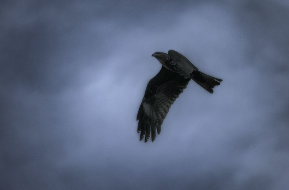 Photograph by Юлия Лушникова