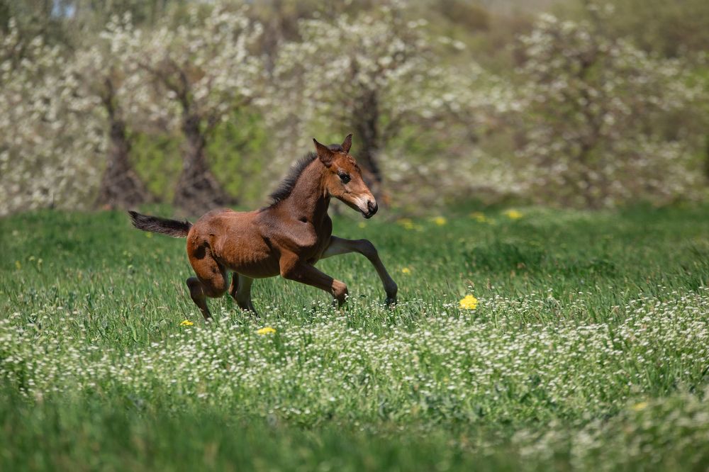 Photograph by Ирина Голомако