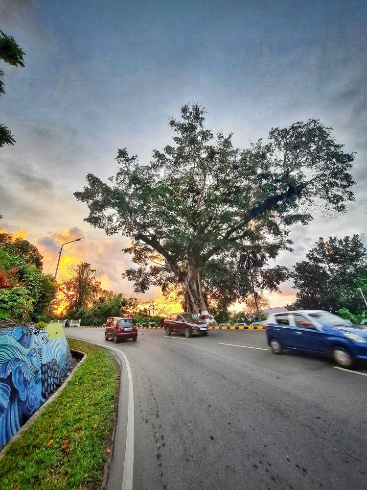 Photograph by A ANKITA RANI