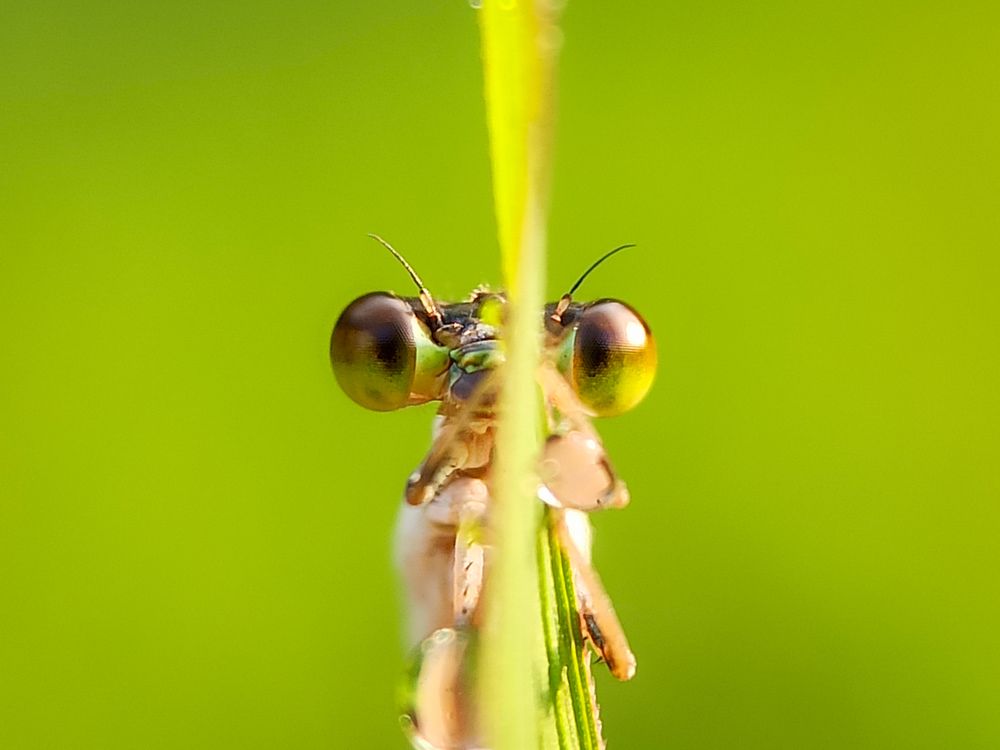 Photograph by Akirul Fahad