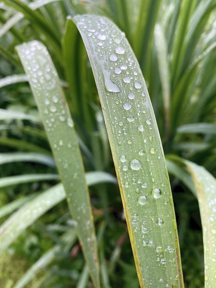 Photograph by Ольга Аникина