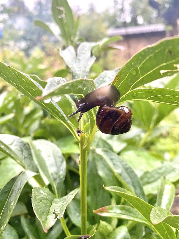 Photograph by Ольга Аникина