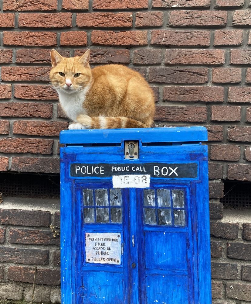 Photograph by Svetlana Kornilova