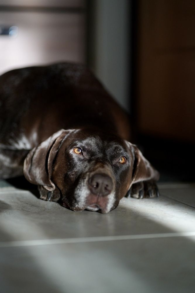 Photograph by Ольга Глазунова