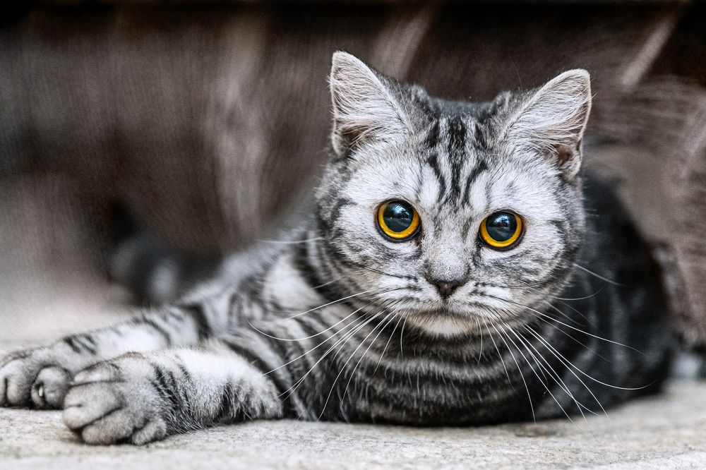 Photograph by Liga KALNINA