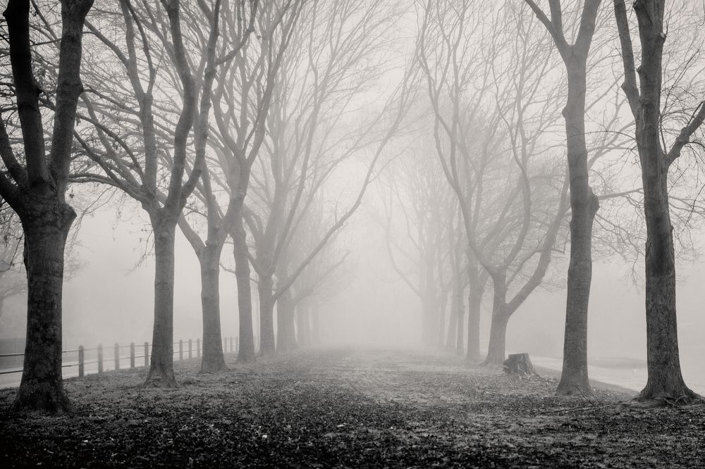 Photograph by Liga KALNINA