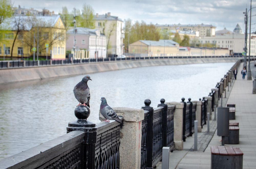 Photograph by Евгений Королев